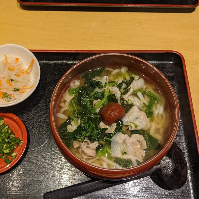 梅豚うどん(釜揚げうどん はつとみ)