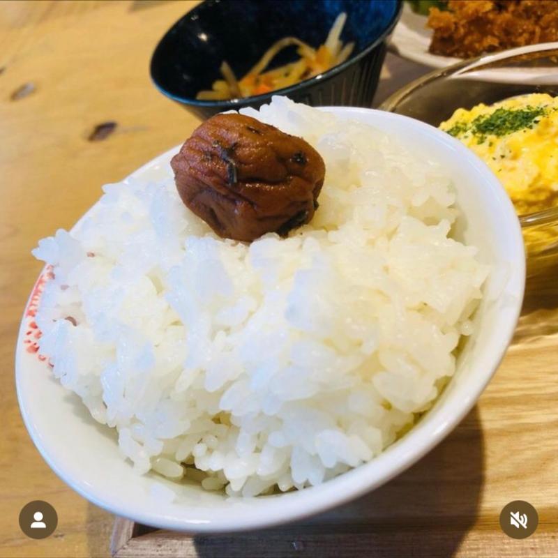 ご飯_アジフライ定食(Hareya食堂)