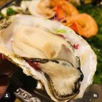 博多湾唐泊産 恵比須牡蠣と海藻のカルパッチョ(B・B13BAR （ビー・ビー サーティーン バー）)