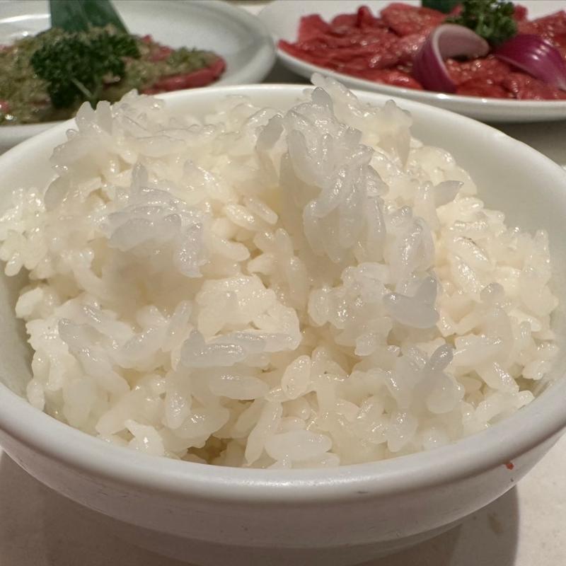 ライスM(花十番 自由が丘店)