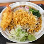 冷やしたぬき蕎麦 大盛 海老天(更科食堂)