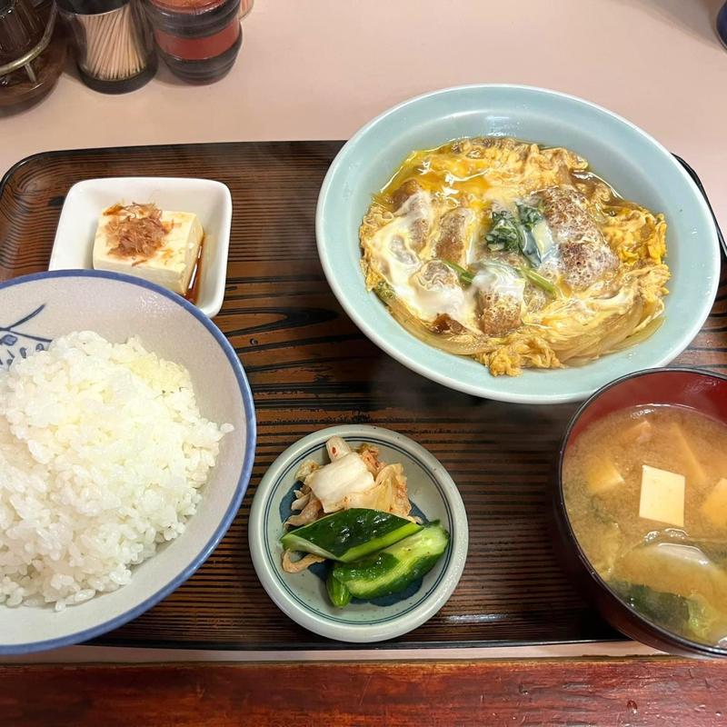 煮込みカツ皿定食(辰の子食堂 )