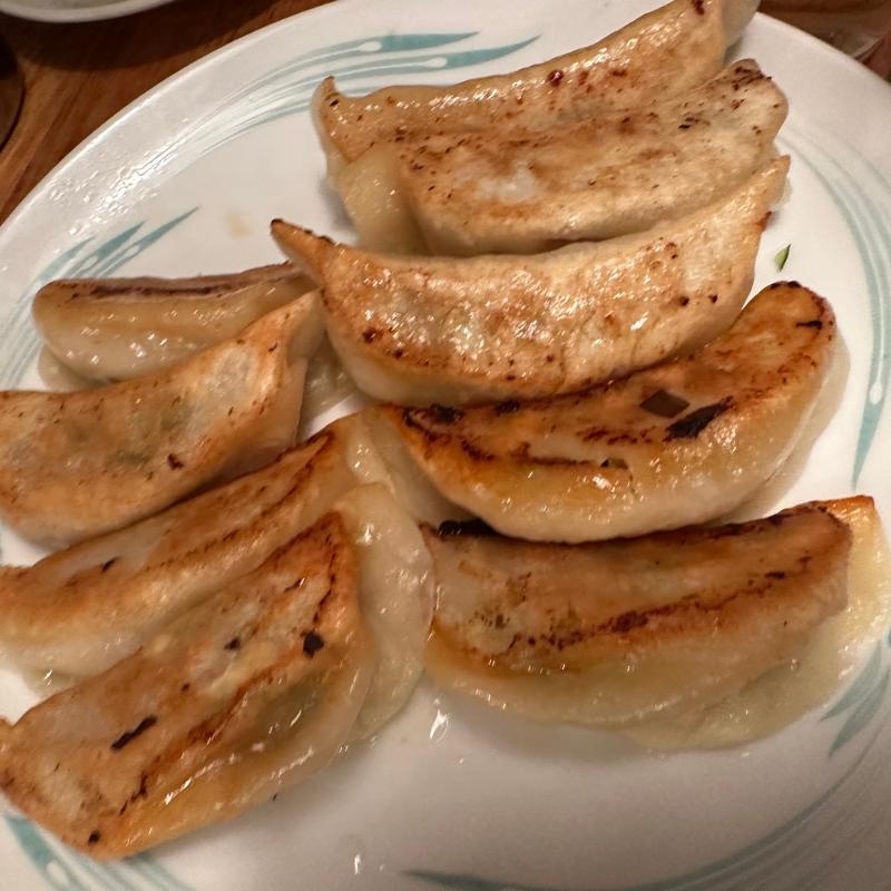 焼き餃子(台湾屋台 新台北)