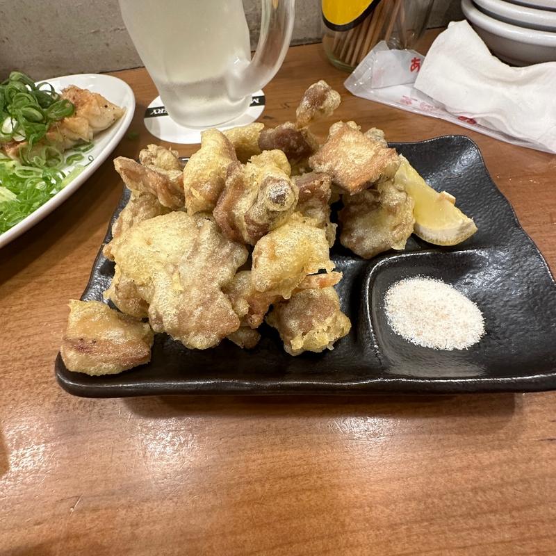 ホルモン天ぷら(ひろしまギョウザ by 餃子家 龍 ekie店)