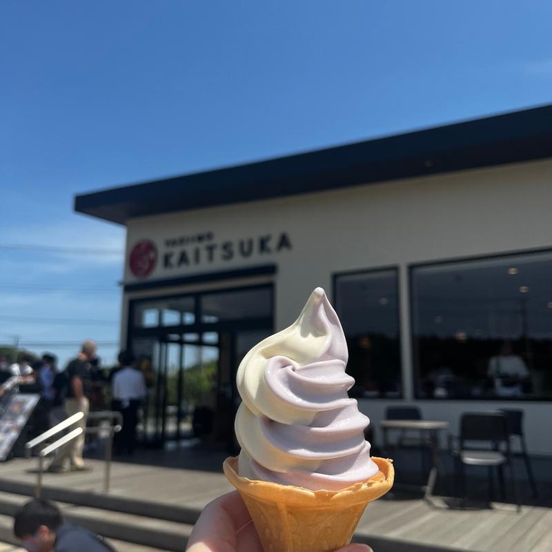 ソフトクリーム(焼き芋／紫芋)(蔵出・焼き芋かいつか かすみがうら本店工場直売所 )