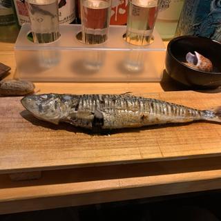 (肴糀醸 やしろ)