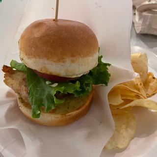 (Museum&Museum お台場)