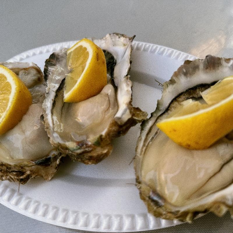 岩牡蠣(魚ケイ)