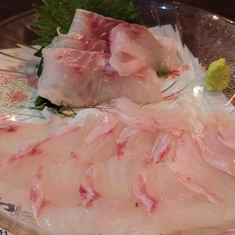 刺身 (オキメバル)(わだちや)