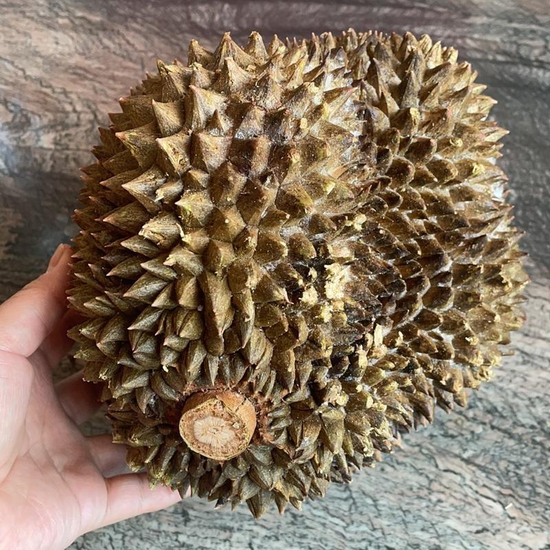 ドリアン(亀戸駅北口の商店街)