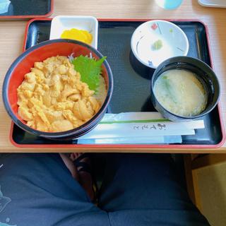 生ウニ丼(お食事処　みさき)