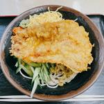 冷やしたぬきそば(肥後一文字や )