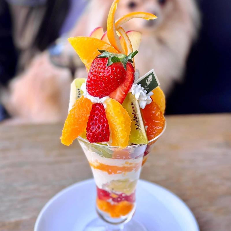 旬フルーツの農園パフェ(観音山フルーツパーラー)