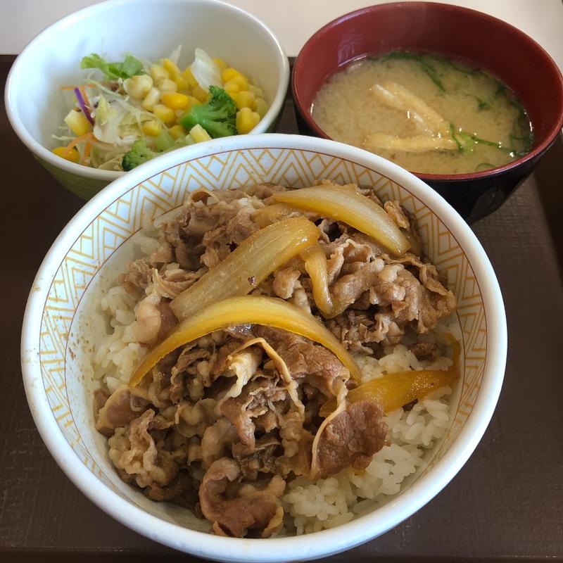 牛丼ランチセット(すき家 足利南大町店)