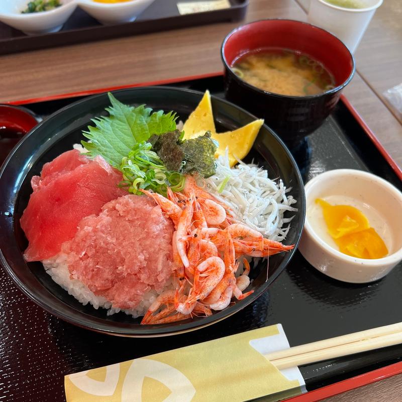 静岡まるごと丼(静岡SA (下り))