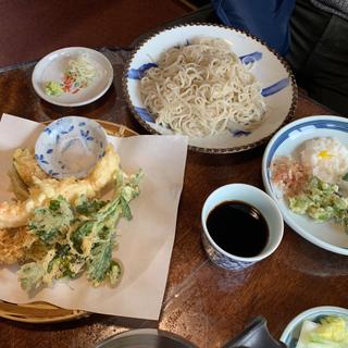 鬼おろし蕎麦(蕎麦物語 遊山)