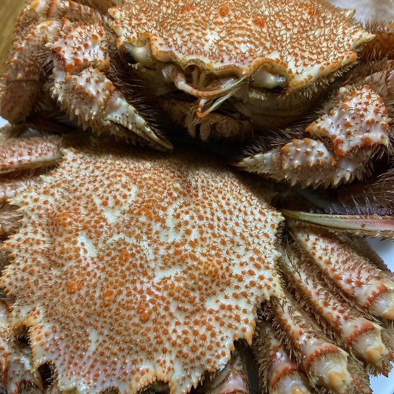 浜茹で毛ガニ(濱乃家)