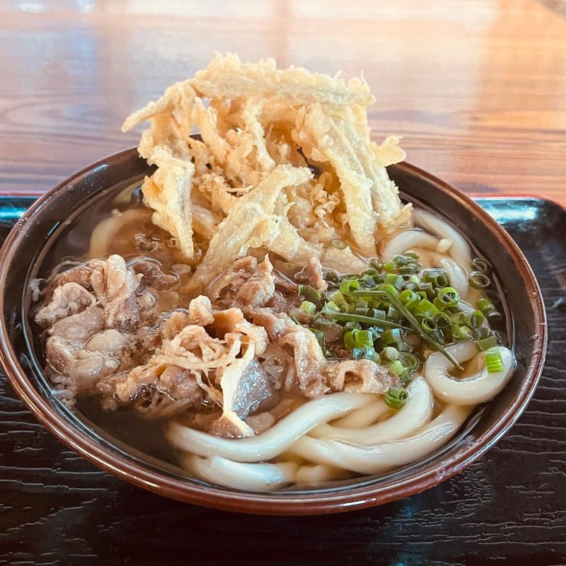 肉ごぼう天うどん(のがみ製麺)