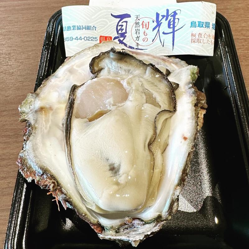 天然岩ガキ(海鮮料理きわみ)