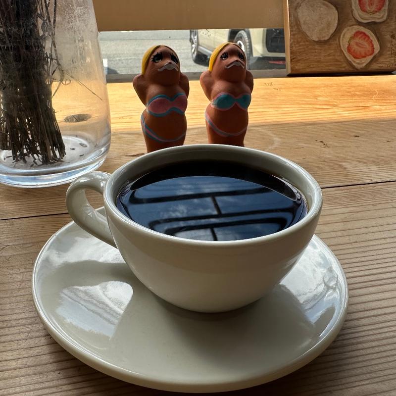 びわ湖ロースタリーブレンド(きみと珈琲 Biwako Roastery)