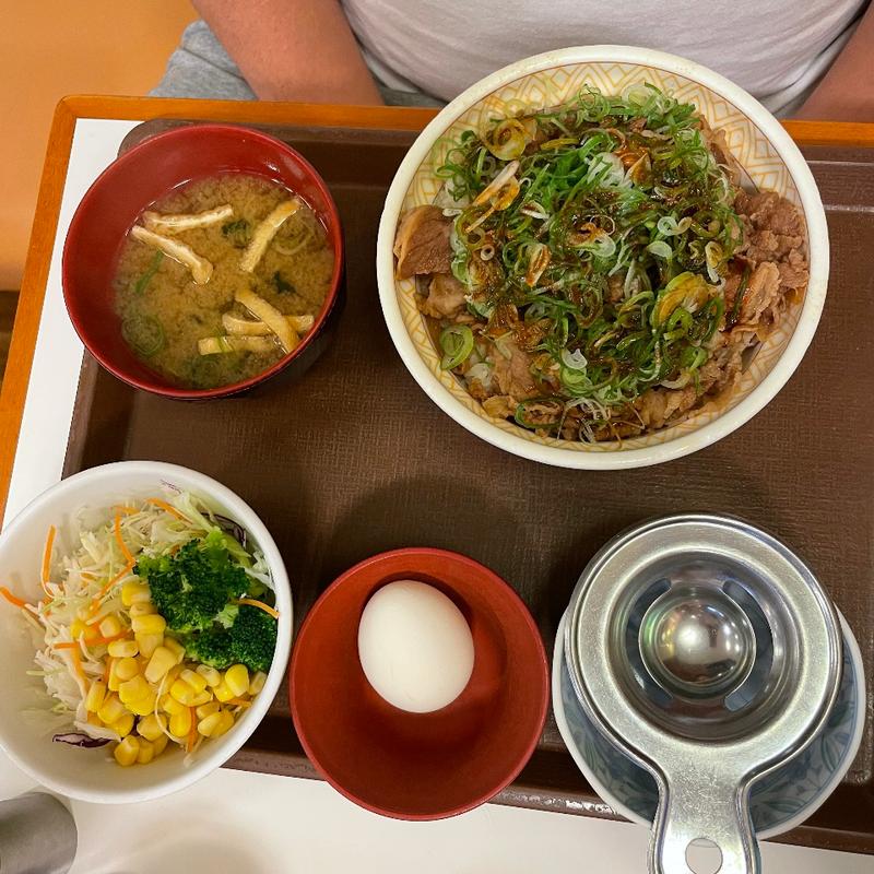 ネギ牛丼セット(すき家 五泉東本町店 )