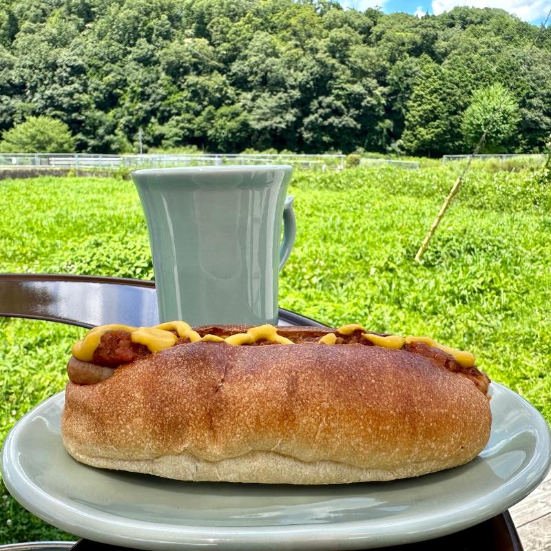 ホットドッグチリ(マグナムコーヒー)