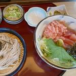 マグロ二色丼と麺(サガミ 富田林店)