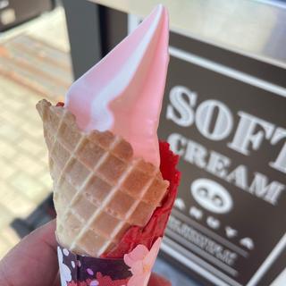 ソフトクリーム 北海道(土山ＳＡ（上下線）)