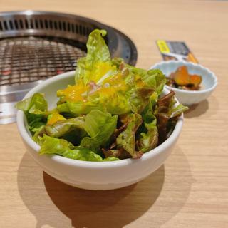 サラダ(炭火焼肉ふじね)