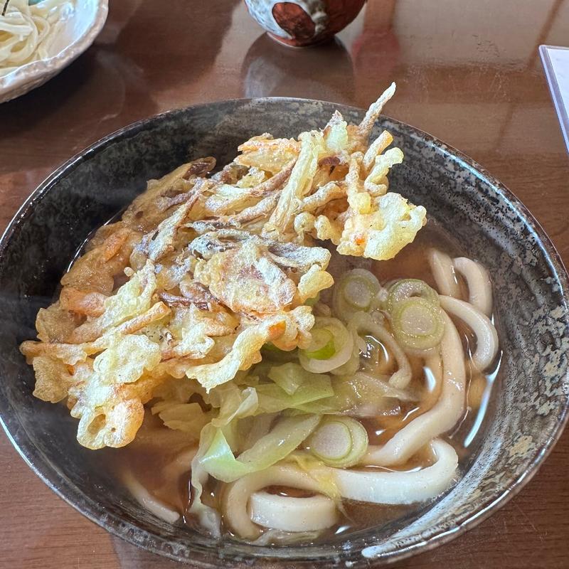 (入山うどん （いりやまうどん）)