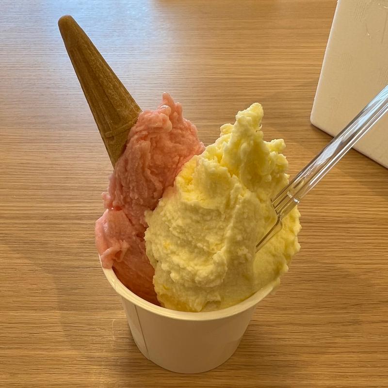 (ミルクアイスＭＯ−ＭＯ)