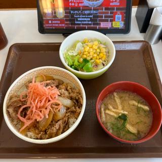 牛丼　サラダセット(すき家 川口榛松店 )