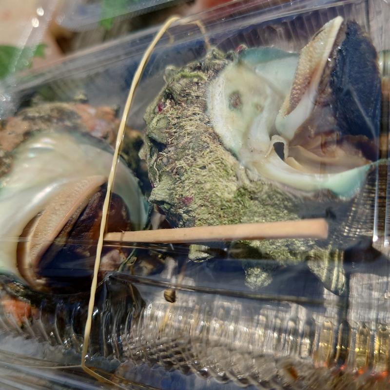 サザエ(唐戸市場)