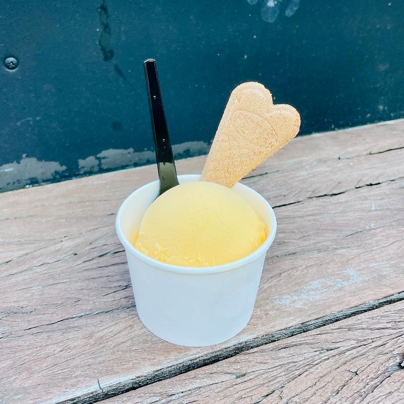 ジェラート　マンゴーパッション(カナルカフェ （CANAL CAFE）)