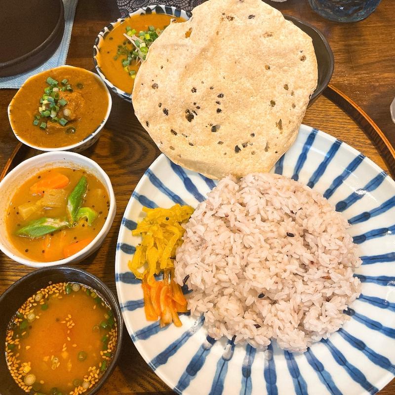 ポークビンダルー定食、鰯のつみれ(深川インド月と亀)