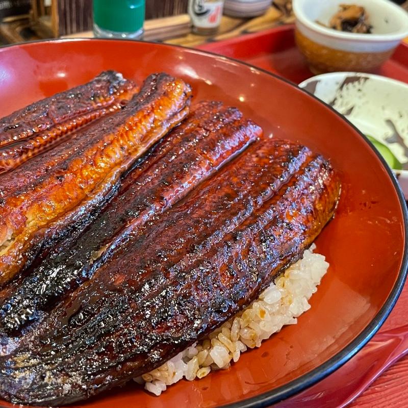 特大うなぎ丼(さかなや直営 食事処たむら水産)