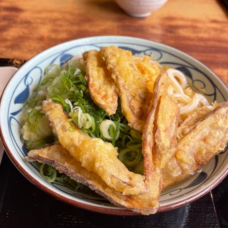 冷やしかけうどん(丸亀製麺 鹿児島店 )