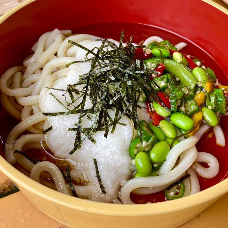 彩り野菜の冷やしとろろうどん(那須どうぶつ王国 BOCCA)