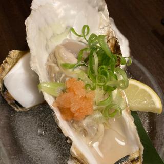 生牡蠣(台所料理たまい)