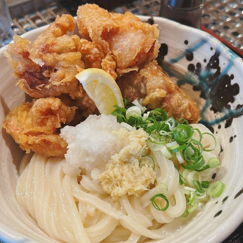鶏天生醤油うどん(たけうちうどん店 )