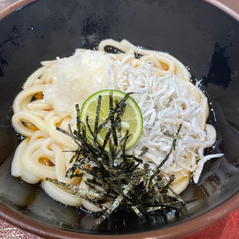 淡路島産釜揚げしらす 鬼おろしうどん(スナックコーナー 淡路SA下り)