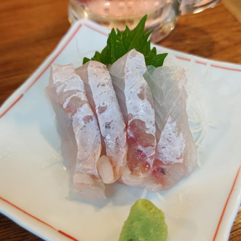 アオハタ刺身(釣宿酒場マヅメ 野毛本店)