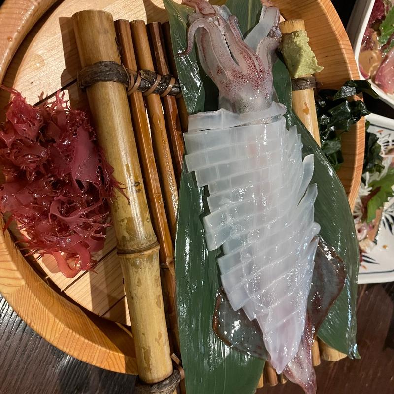 イカの活き造り(まる家)