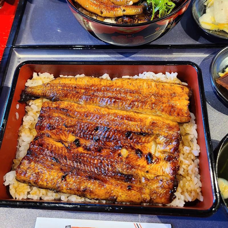 鰻重 上(鰻三代目むら上 大森山王店)