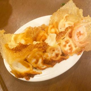 焼き餃子10種盛り(一味玲玲 新橋本店)