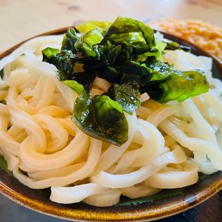 野菜天ぷらうどん大盛り＋とり天
