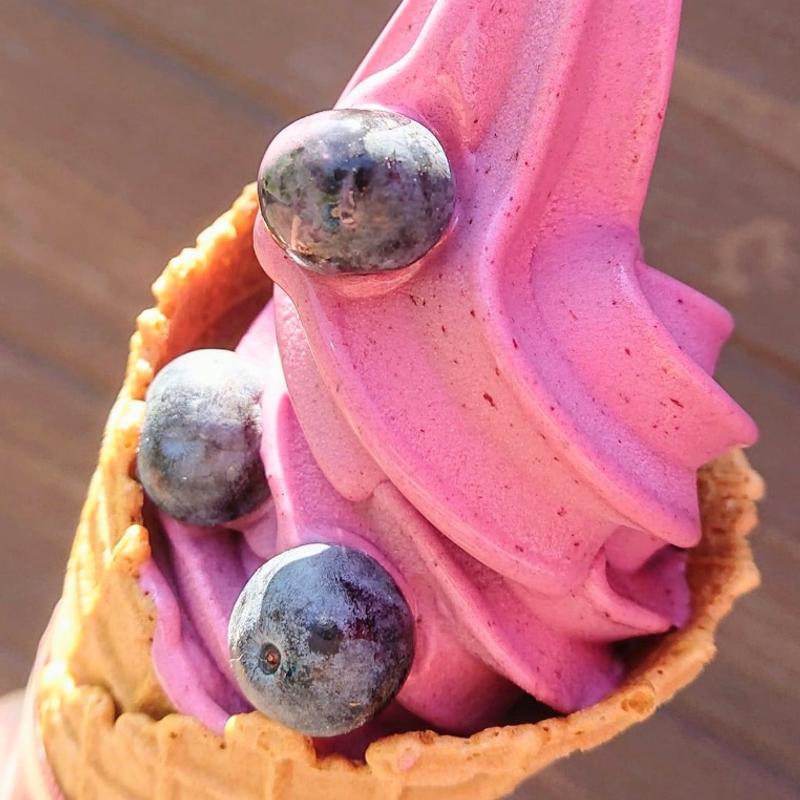 ブルーベリーフロマージュソフト(一夜城ヨロイヅカファーム)