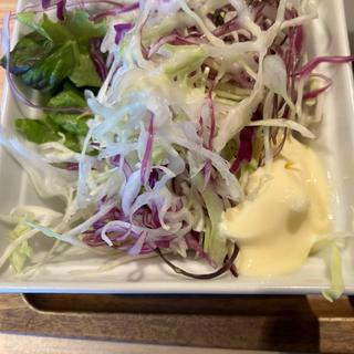 サラダ(餃子とカレーザンギの店 点心札幌 大通本店)