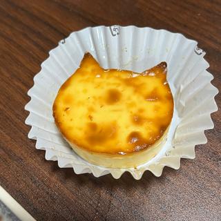 ネコネコチーズケーキ(ピネード 津店 )