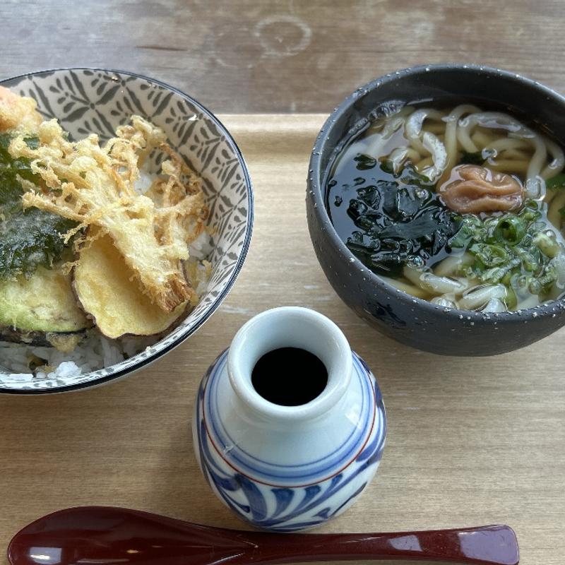 小丼ぶりとミニおうどんセット(麺処 ちゅるちゅる)